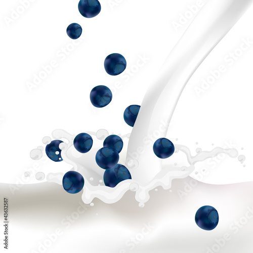 Vector Illustration of Blueberries falling into a Splash of Milk