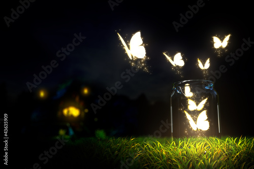 Butterflies #43635909