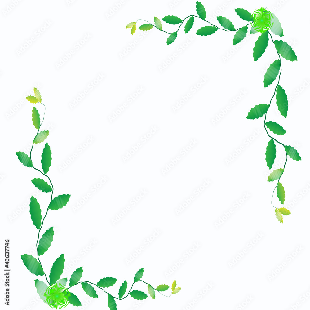 Flower of frame on white background Flower of frame on white background