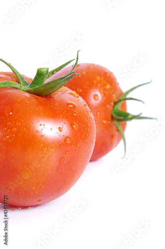 Tomatoes with water drops on the white