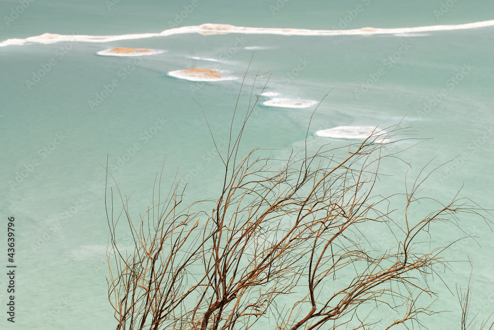 Fototapeta premium Travel Photos of Israel - Dead Sea