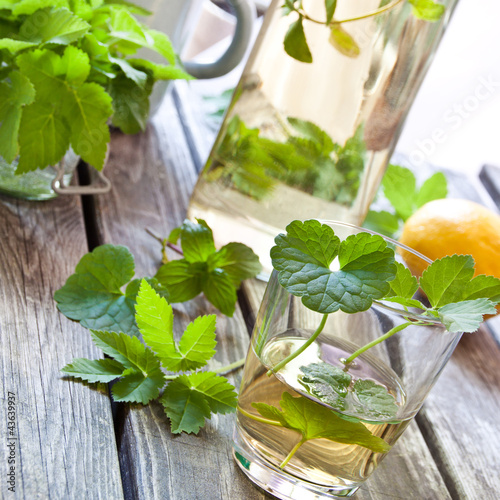 Kräuter - Limonade - mit Giersch und Gundermann photo