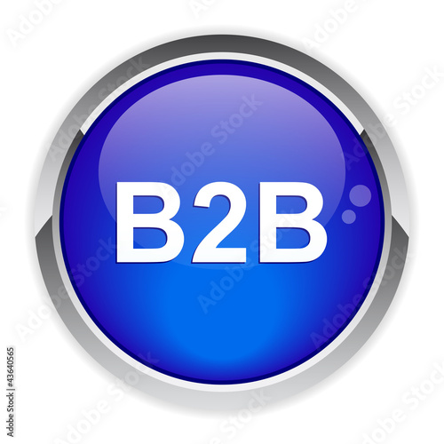 bouton internet B2B icon.
