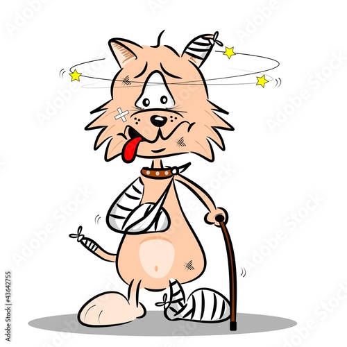 An injured cartoon cat with bandages plaster and walking stick