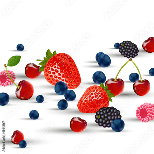 Vector illustration of fresh berries