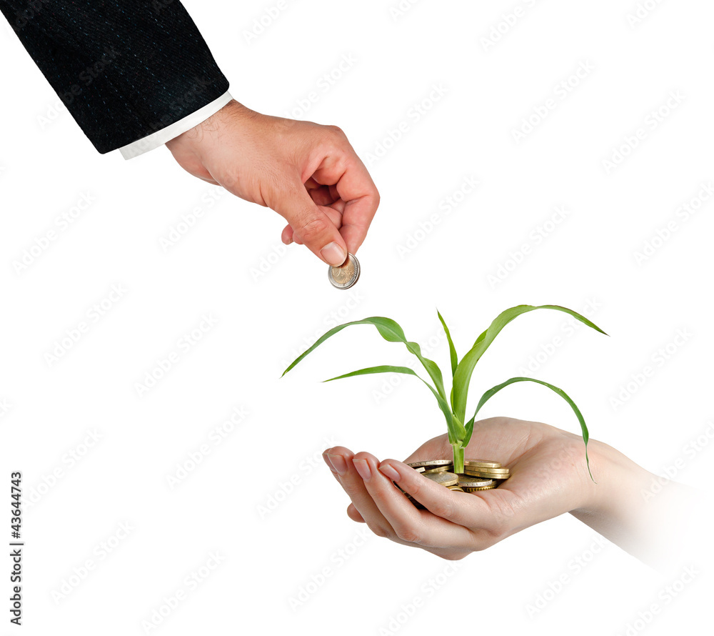 presenting corn shoot as a gift of agriculture presenting corn shoot as a gift of agriculture