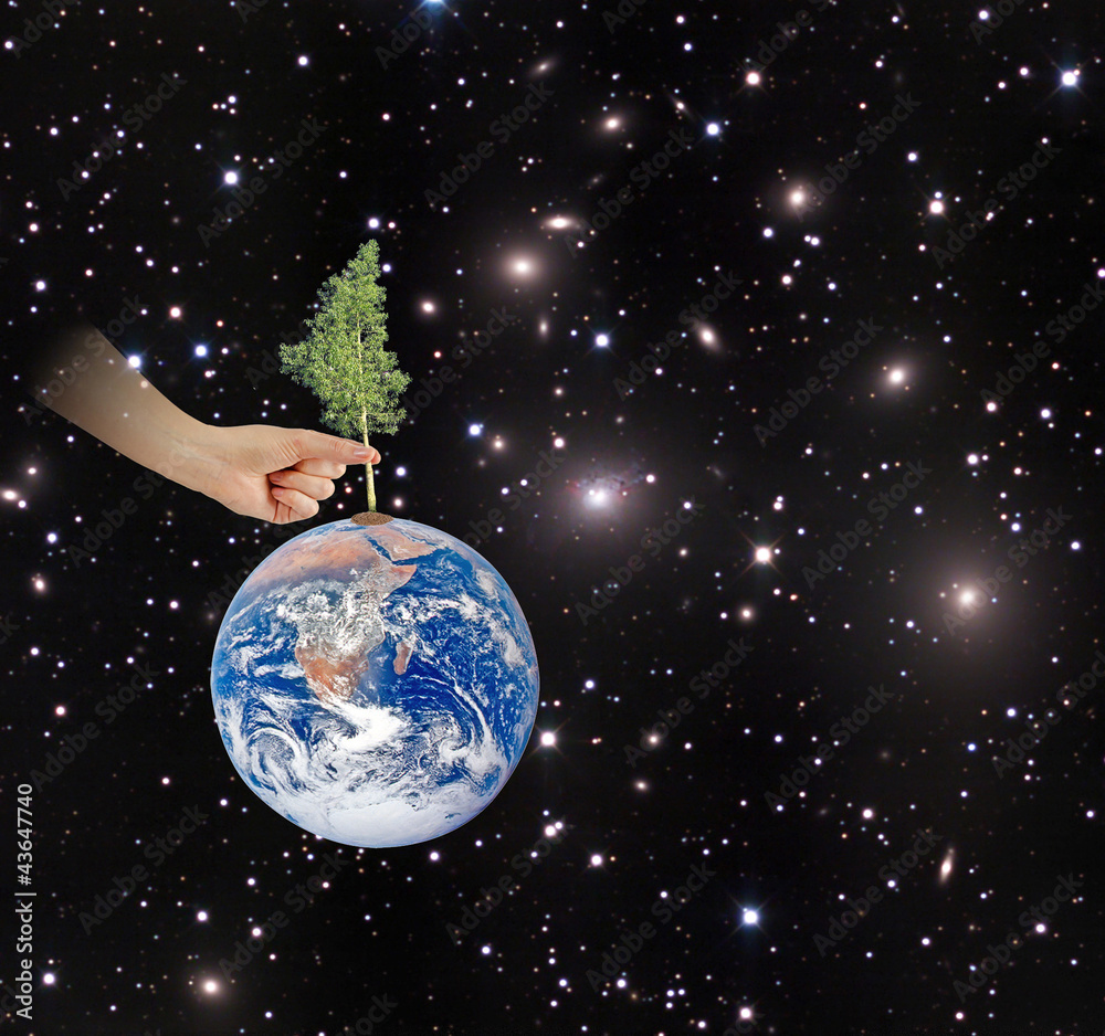 Tree on Earth as a symbol of peace.Elements of this image furnis Tree on Earth as a symbol of peace.Elements of this image furnis