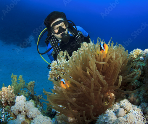 Scuba Diver finds Nemo