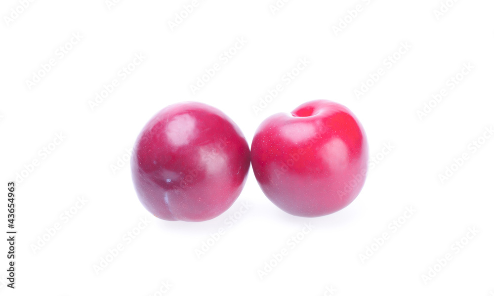 plum plum