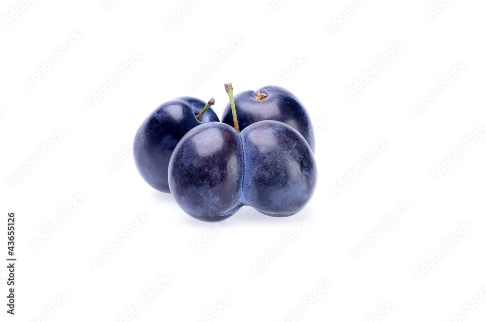plum plum