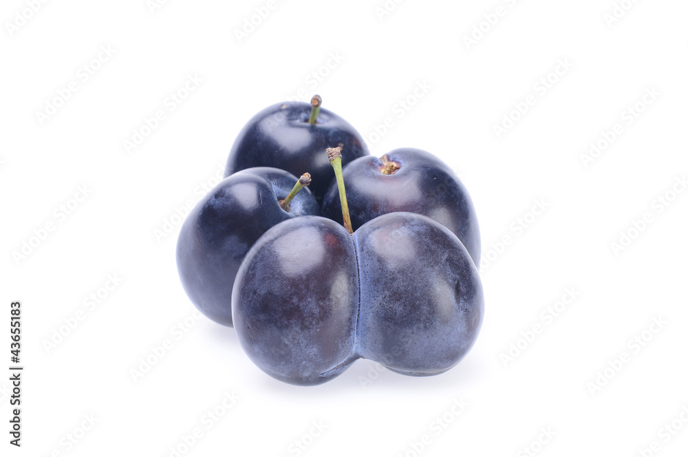 Plum Plum