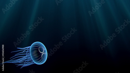 Two animated blue jellyfish swimming gracefully.