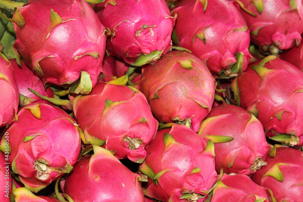Dragon Fruit Background Dragon Fruit Background