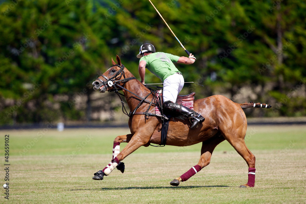 joueur de polo à cheval Stock Photo | Adobe Stock