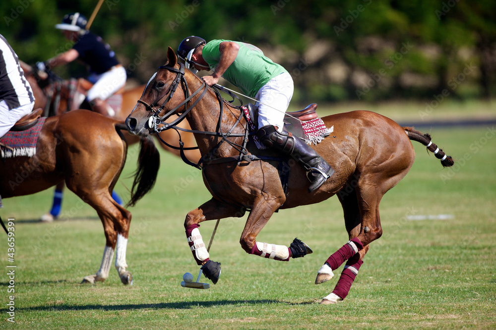 polo sport a cheval Stock Photo | Adobe Stock