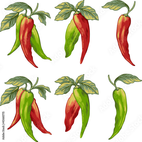 Pimenta