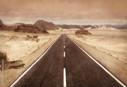 Strada nel deserto e fossile di dinosauro photo