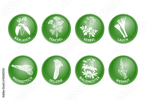 Kräuter Vektor Buttons