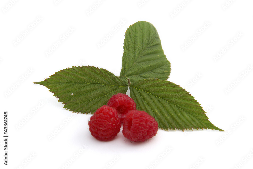 framboises