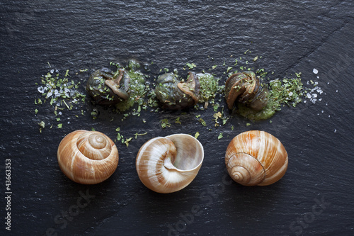Fototapeta Naklejka Na Ścianę i Meble -  Escargot