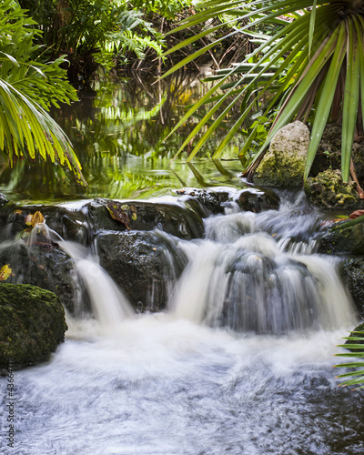 Waterfall in Tropical Stream