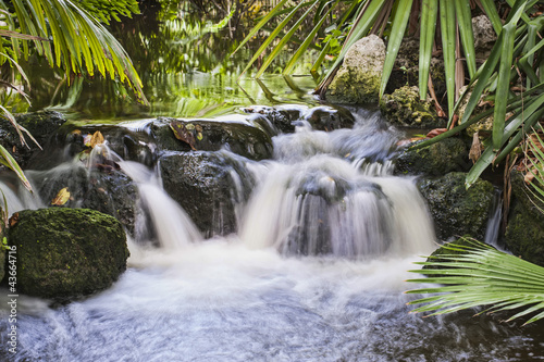 Waterfall in Tropical Stream