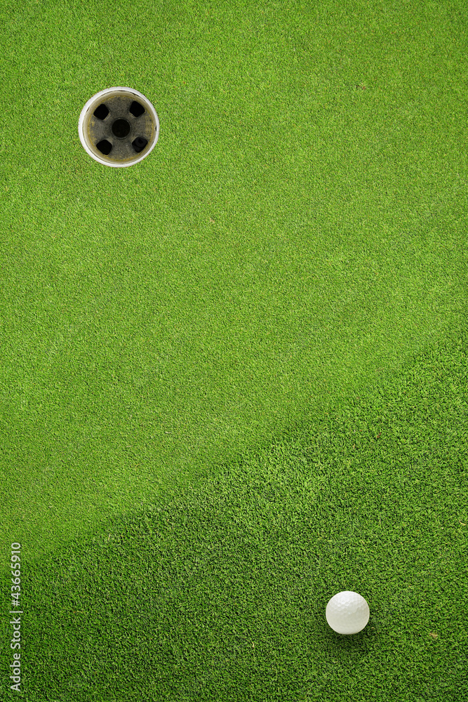 custom made wallpaper toronto digitalgolf ball hole on a field