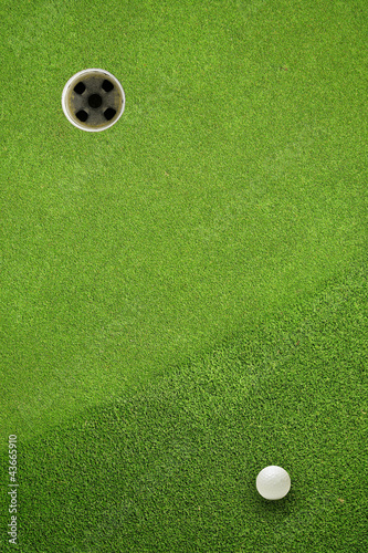 Wallpaper Mural golf ball hole on a field Torontodigital.ca