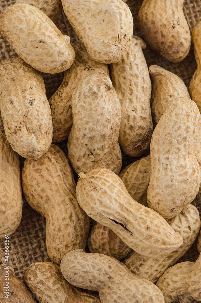 Peanuts Peanuts