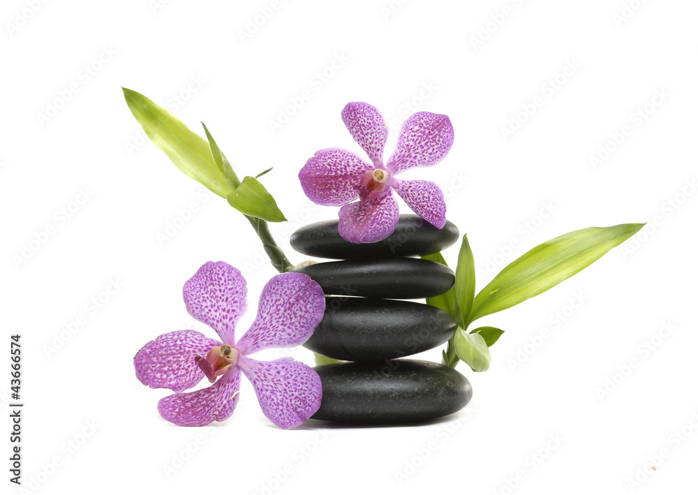 orchid flower and balanced stones and lucky bamboo