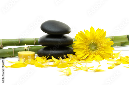 stack stones in balance and sunflower with candle on grove