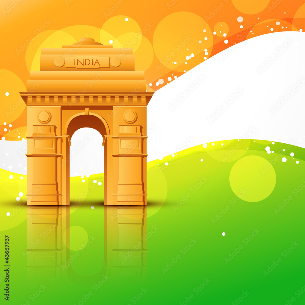 Fototapeta premium vector india gate