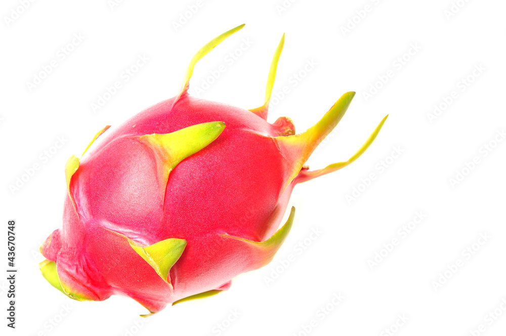 Dragon fruit isolated Dragon fruit isolated