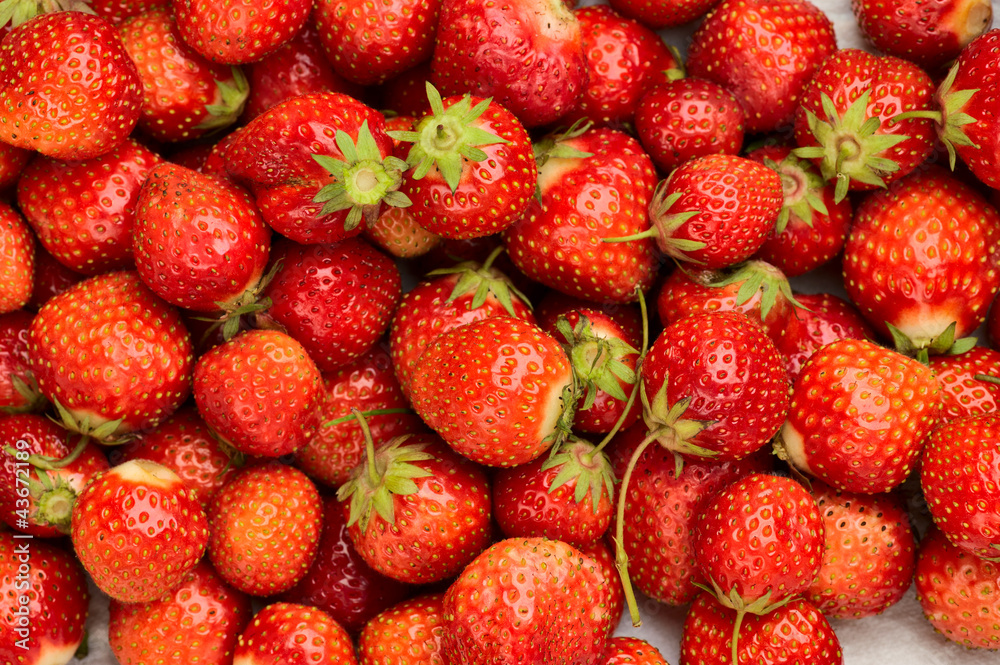 strawberry strawberry