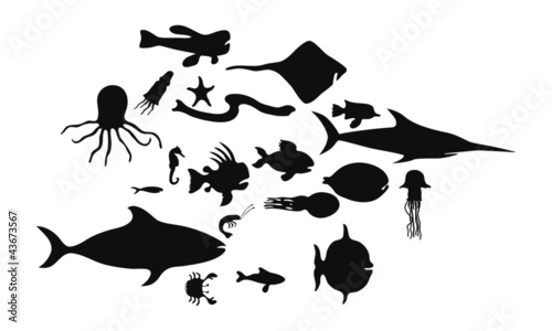 Aquarium