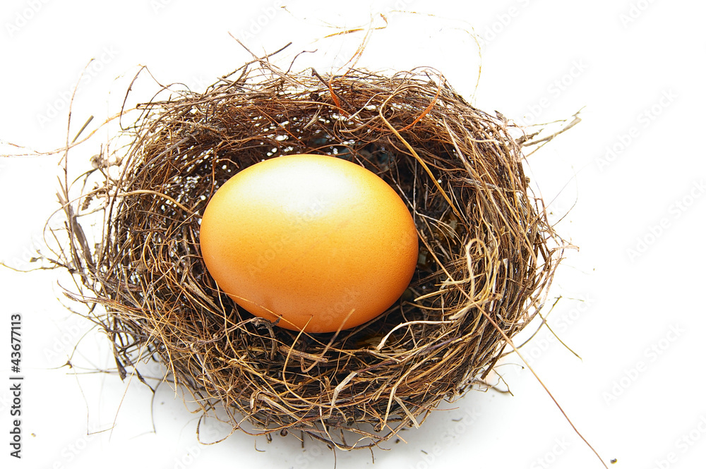 brown egg