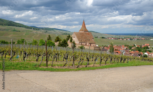 Saint Jacques le Majeur church in Hunawihr photo