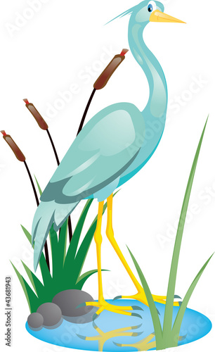 Fotografie cute heron cartoon