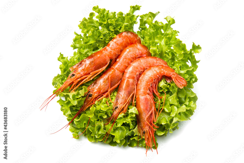 prawns on fresh salad