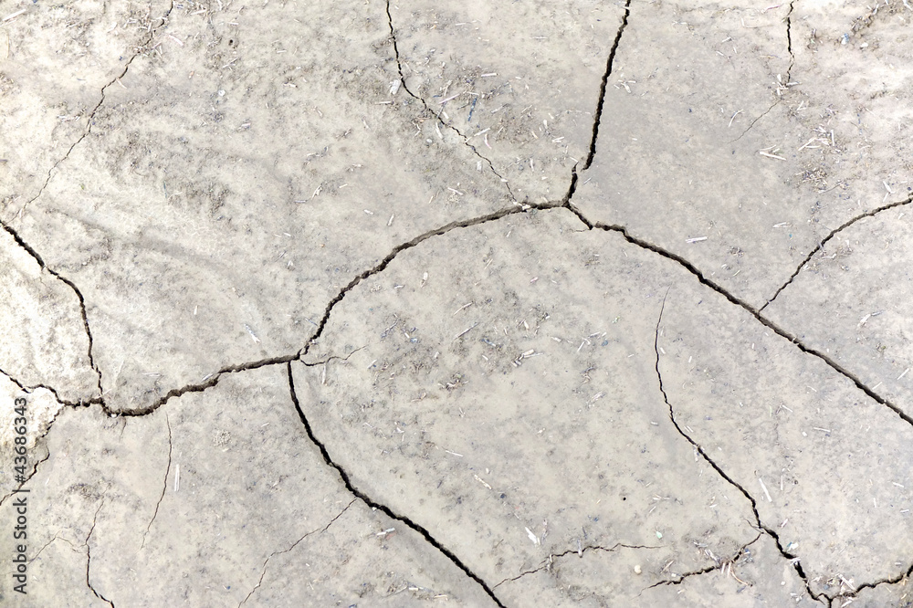 Obraz premium Dürre