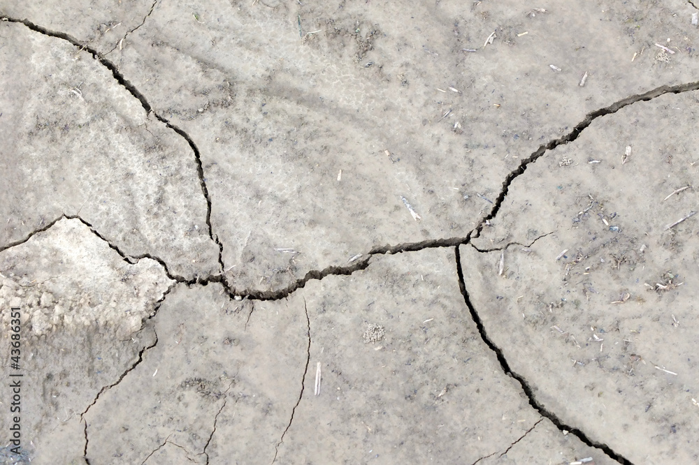 Fototapeta premium Dürre