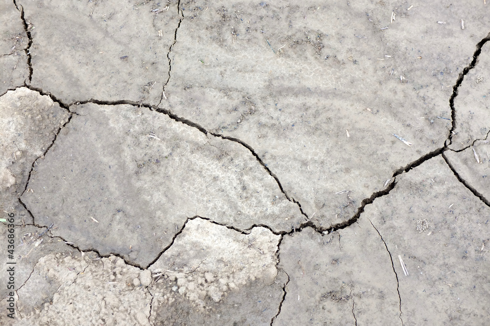 Obraz premium Dürre