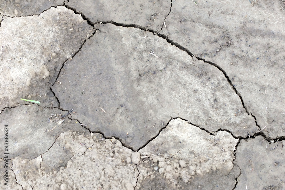 Obraz premium Dürre