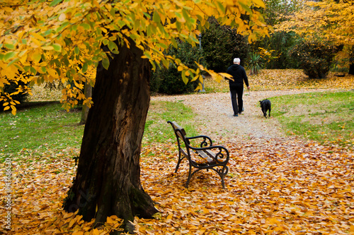 Autunno photo