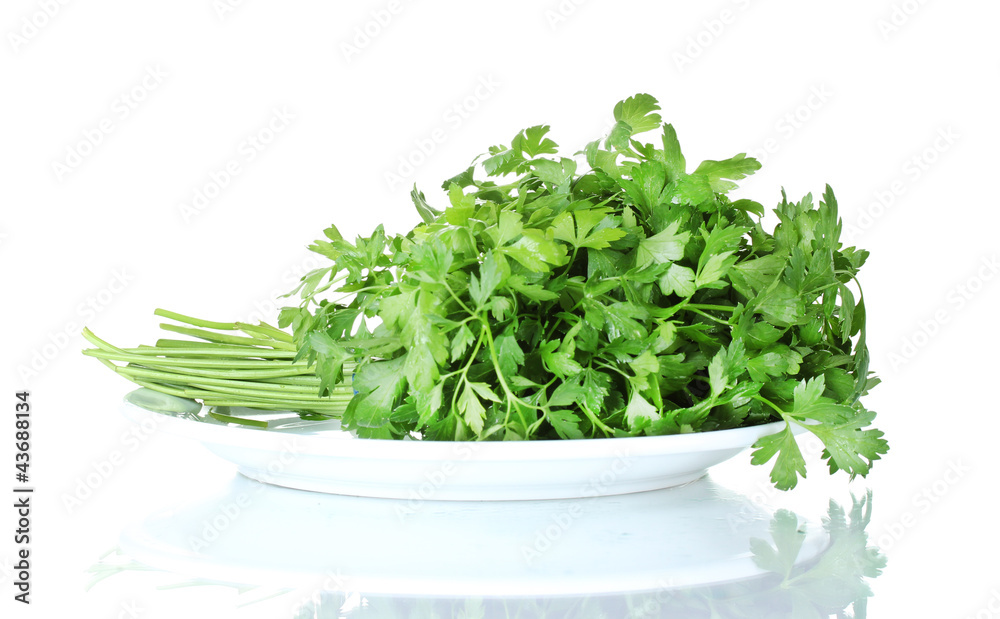 parsley in a white plate isolated on white parsley in a white plate isolated on white