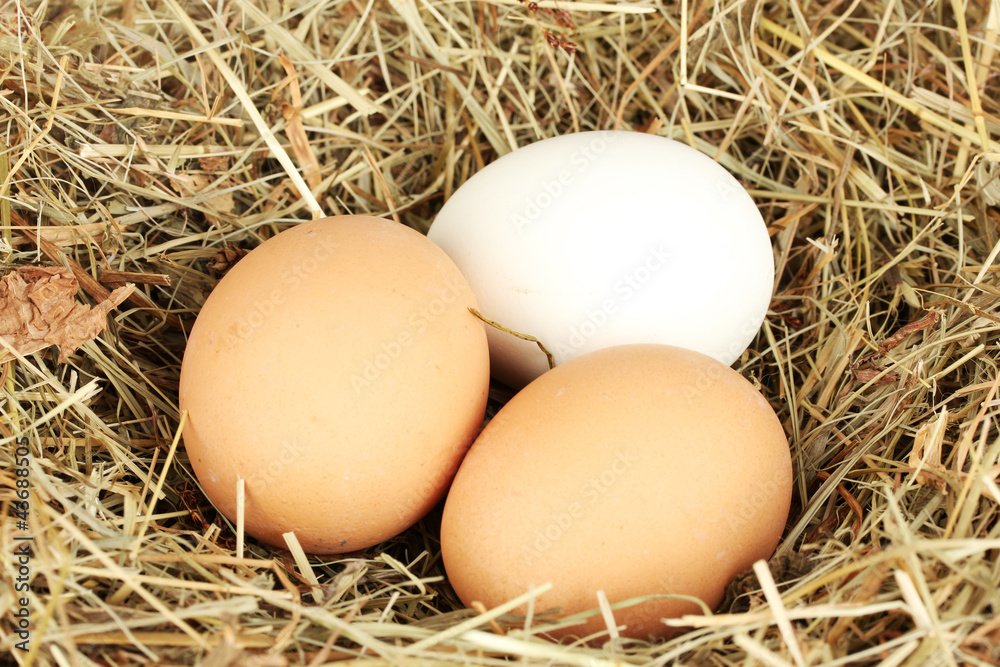 brown and white eggs in a nest of hay close-up