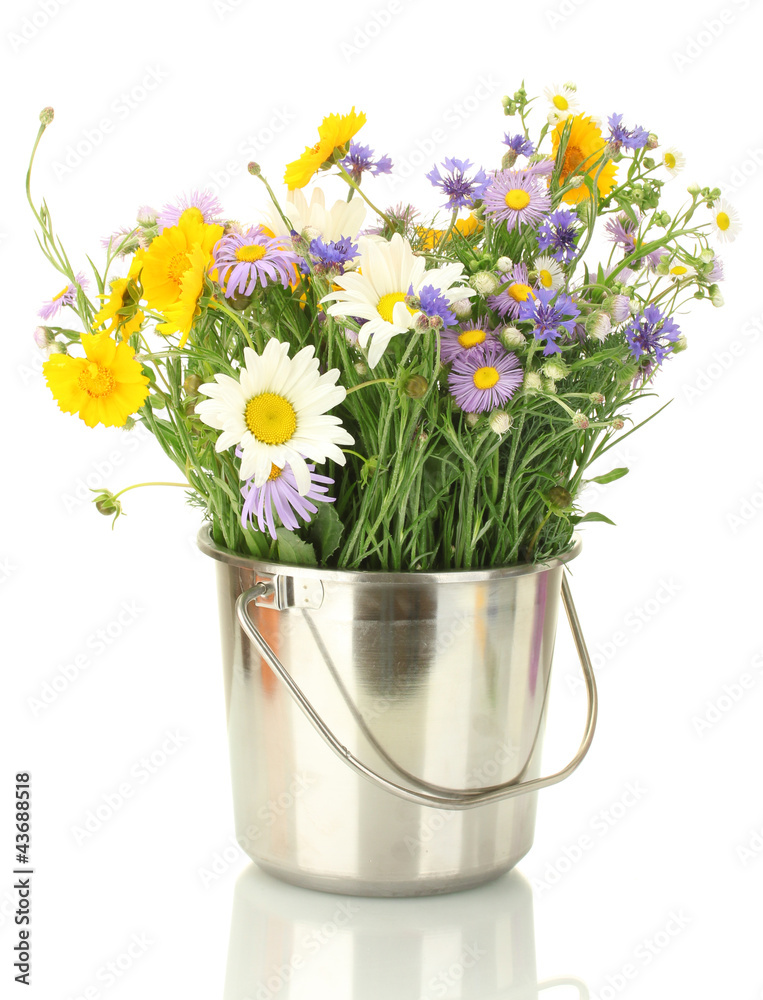 beautiful bouquet of bright  wildflowers in bucket, isolated