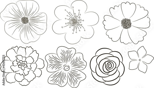 Flowers collection. Elements for design.