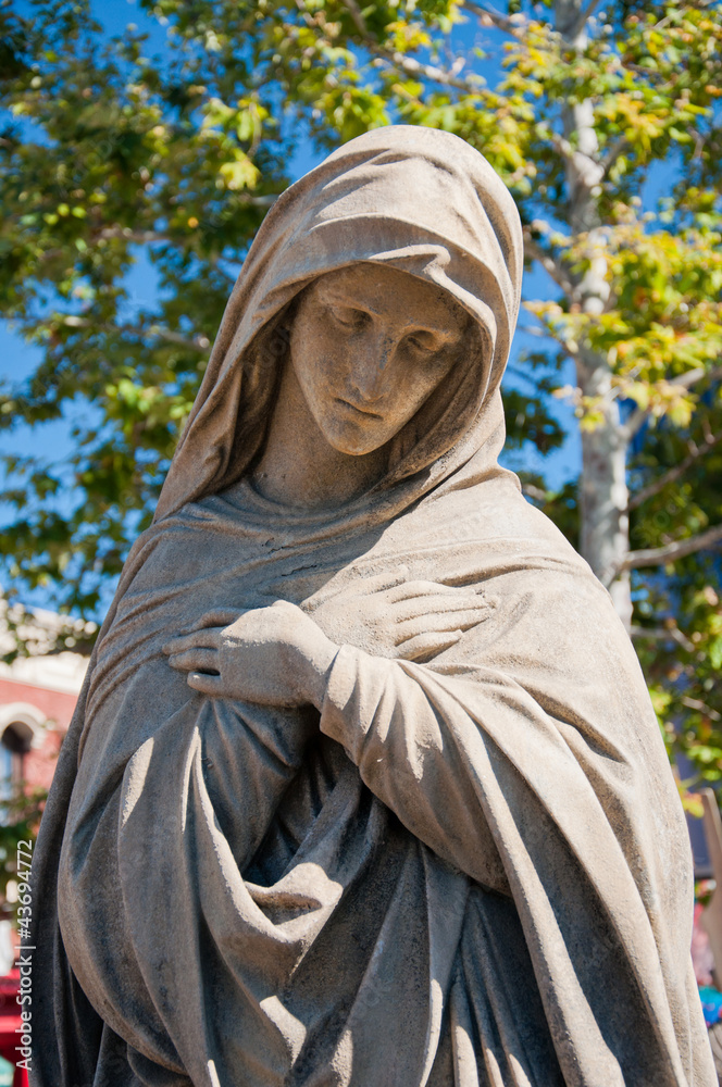 Virgin Mary Virgin Mary