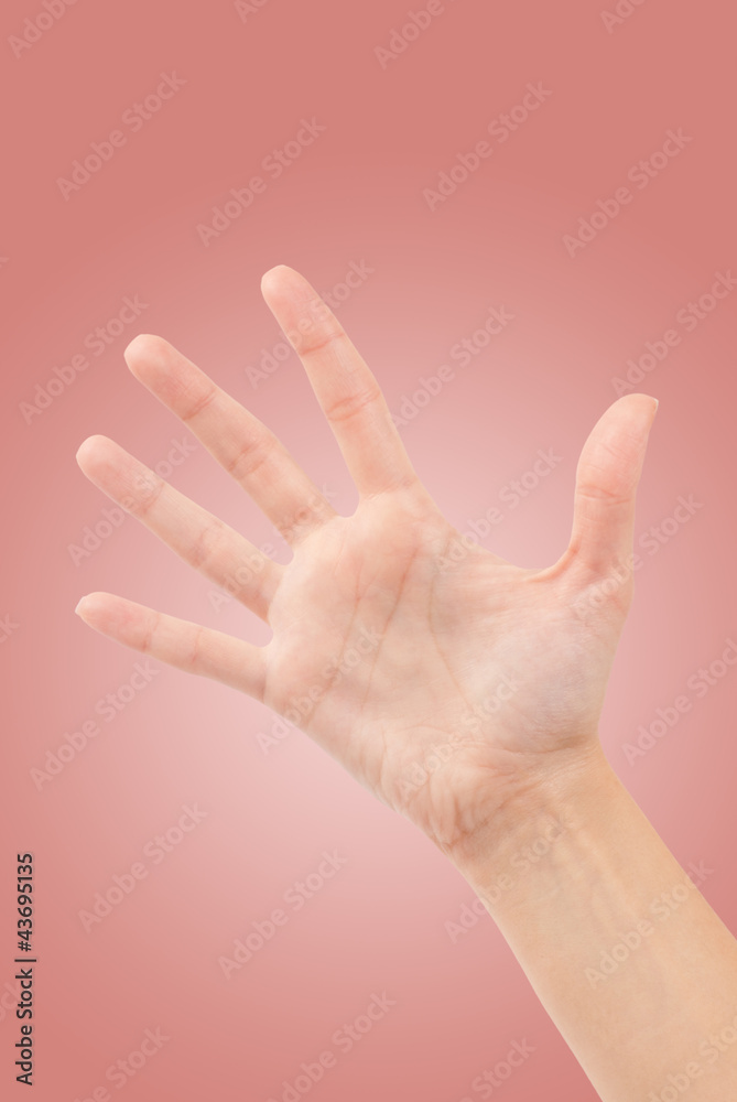 Naklejka premium Open woman hand or number five